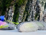 Stone