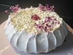 ✨Beza Pavlova Wanilia - Czarna Porzeczka ✨