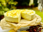 Citrus Dream – Sernik Cytrynowy na zimno